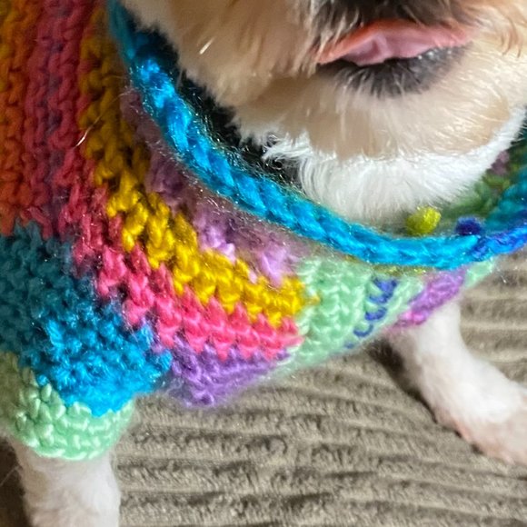 Small Dog Sweater, Toy Dog Clothes, Unique, Hand Knit One of a Kind, Colorful - Picture 7 of 16
